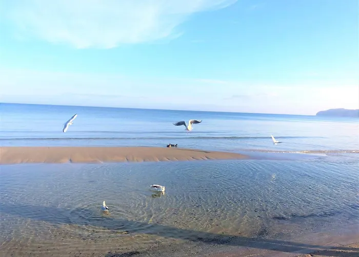 Strandvilla Seeadler Hinter Düne Und Apartment *